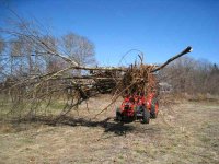 IMG_8152smallfile.jpg