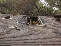 Rear-Skylight.jpg