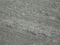 DSCN0019.JPG