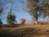 100_2659 (Small).JPG