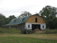 TBN Roof 2.JPG
