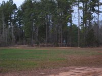 Deer Blind 154 (Small).jpg