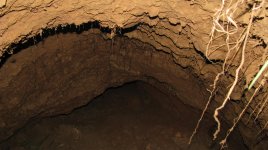 IMG_0033.JPG