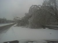 01-28-09_0825.jpg