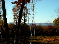 DSC03017.JPG