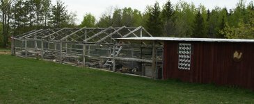 aviarycoop1.jpg