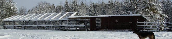 aviarycoopwinter.jpg