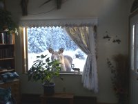 DSC00549.JPG