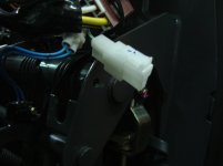 p3.jpg