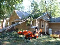 Timber !!!! 002.JPG