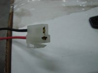 p5.jpg