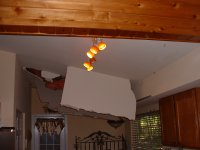 Timber !!!! 021.JPG