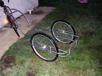 DSCN4659.gif