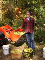 Phil picks apples.JPG