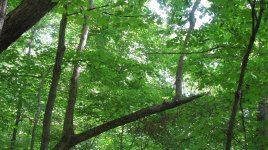 IMG_0141.jpg