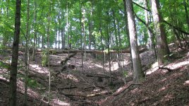 IMG_0144.jpg