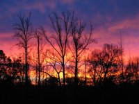 Sunrise, Dec 08 003 (Small).jpg