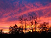 Sunrise, Dec 08 009 (Small).jpg