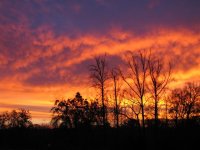 Sunrise, Dec 08 013 (Small).jpg
