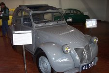 LM11.jpg