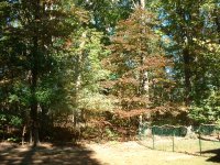 DSCF0033.JPG