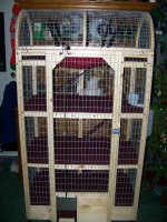 12-28-08 Ferret cage finished 2.jpg