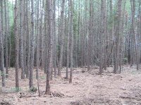 IMG_0462.JPG