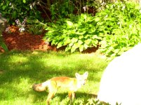 DSCN1685.jpg