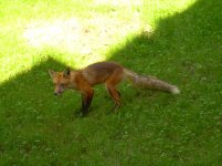 DSCN1688.jpg