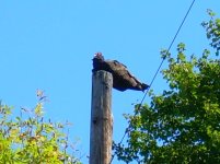 DSCN2005.jpg