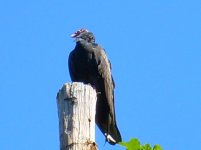 DSCN2010.jpg