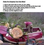 tree on truck.JPG
