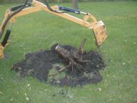 stump.jpg