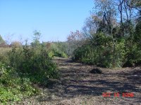 DSC07170.JPG