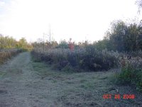 DSC07199.JPG