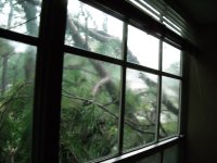 DSCN0304.JPG