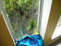 DSCN0310.JPG