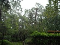 DSCN0318.JPG