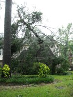 DSCN0339.JPG