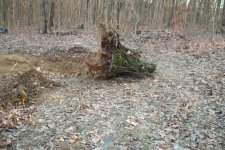 DSCF1478.jpg