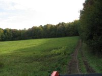 path to woods.jpg