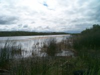 P0000610.JPG