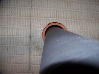 100_1081 [50%].jpg