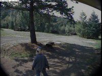img 1.jpg