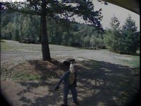 img 2.jpg