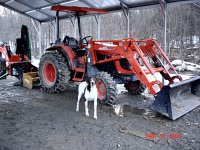 DirtyDog.JPG