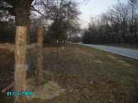 PICT0211.jpg