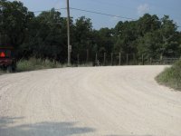 Fence-1.jpg