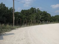 Fence-2.jpg