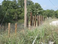 Fence-3.jpg